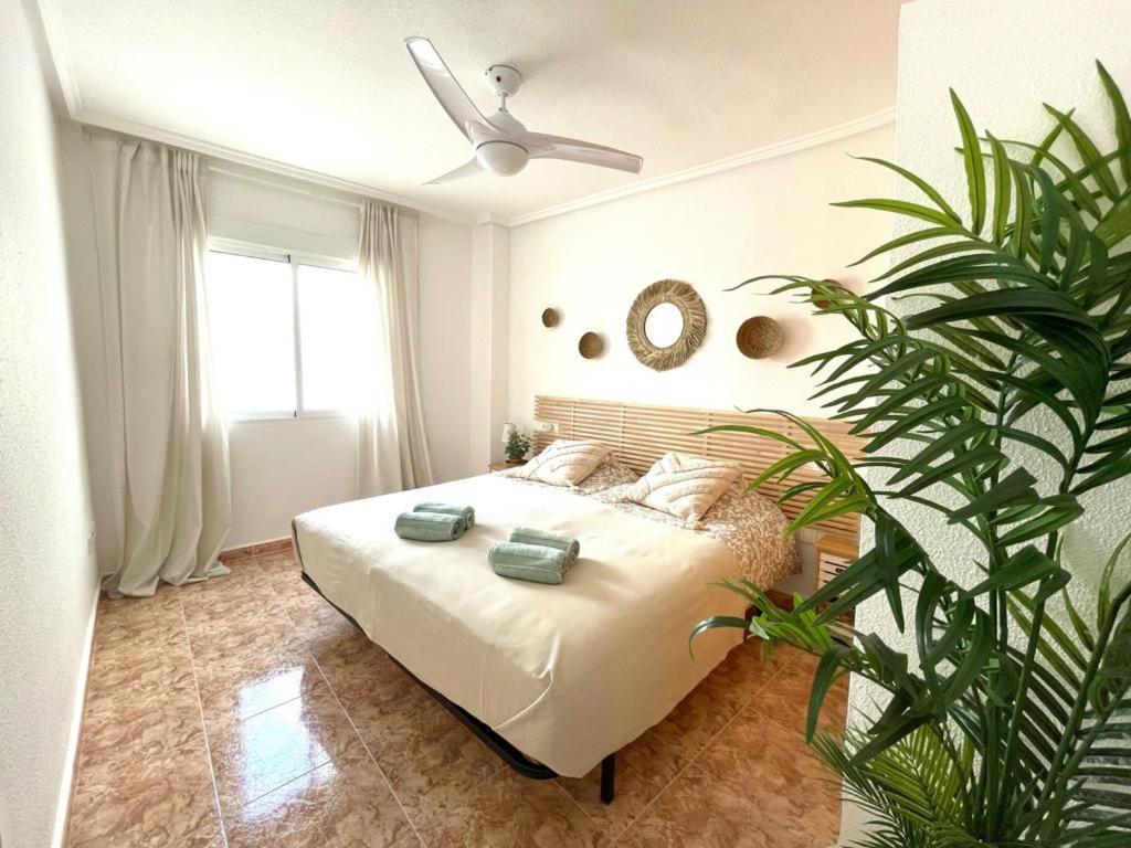 Apartamento Azzurro Apartman Torrevieja Kültér fotó